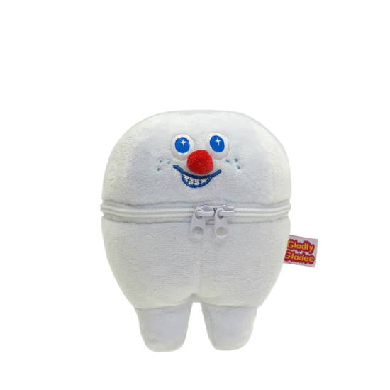 Tooth container pouch
