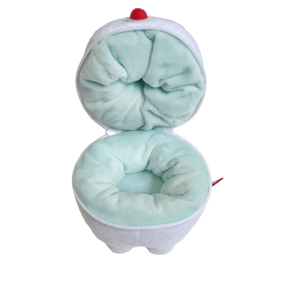 Tooth container pouch